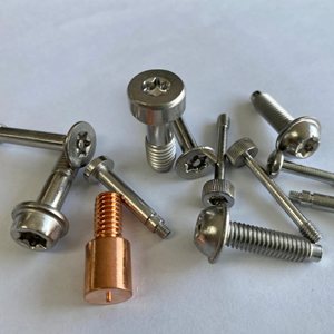 SECURITY MACHINE SCREW