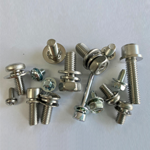 SEMS SCREW